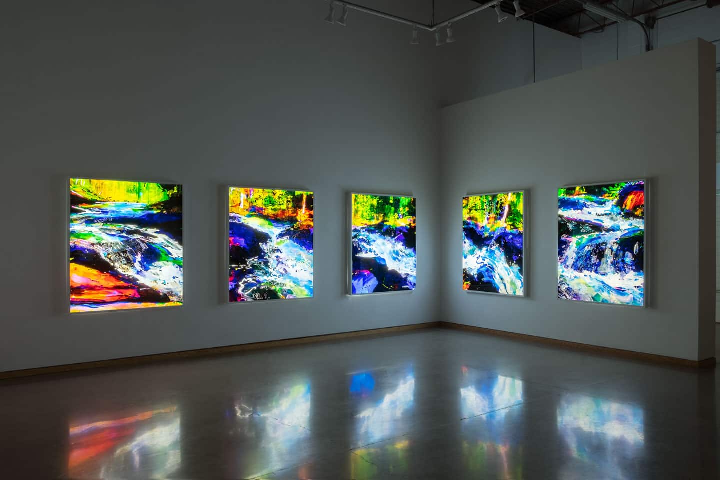 Steve Driscoll at Angell Gallery